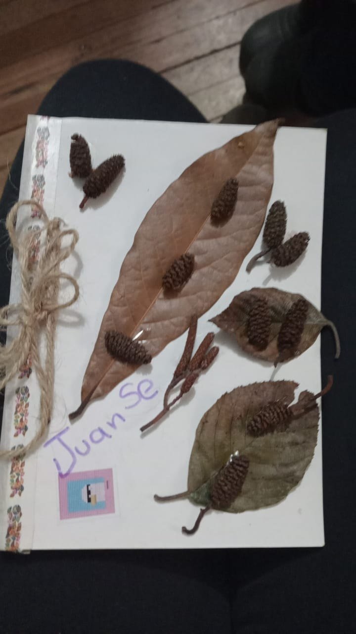 Jornada Ambiental
